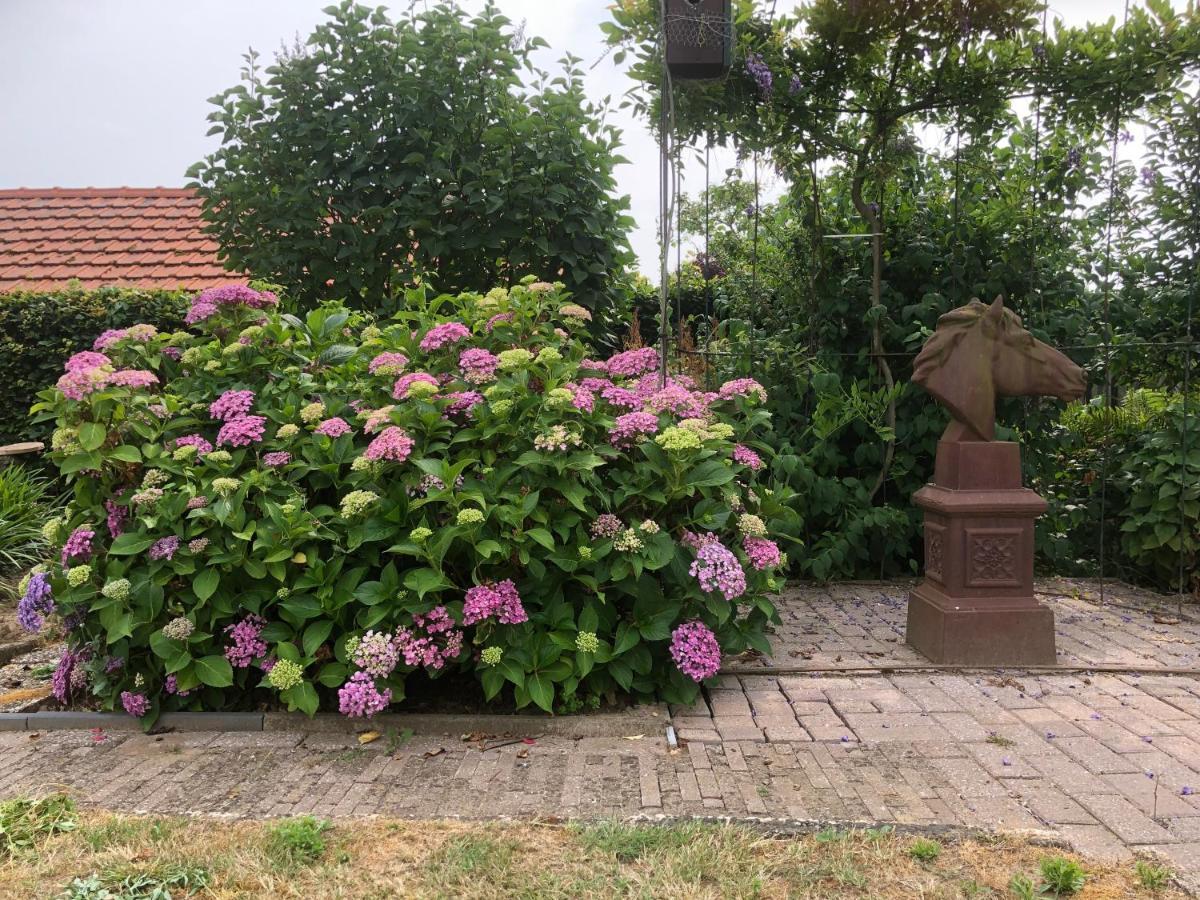 Laaker Villa Nearby Outlet Roermond Ohe en Laak Luaran gambar
