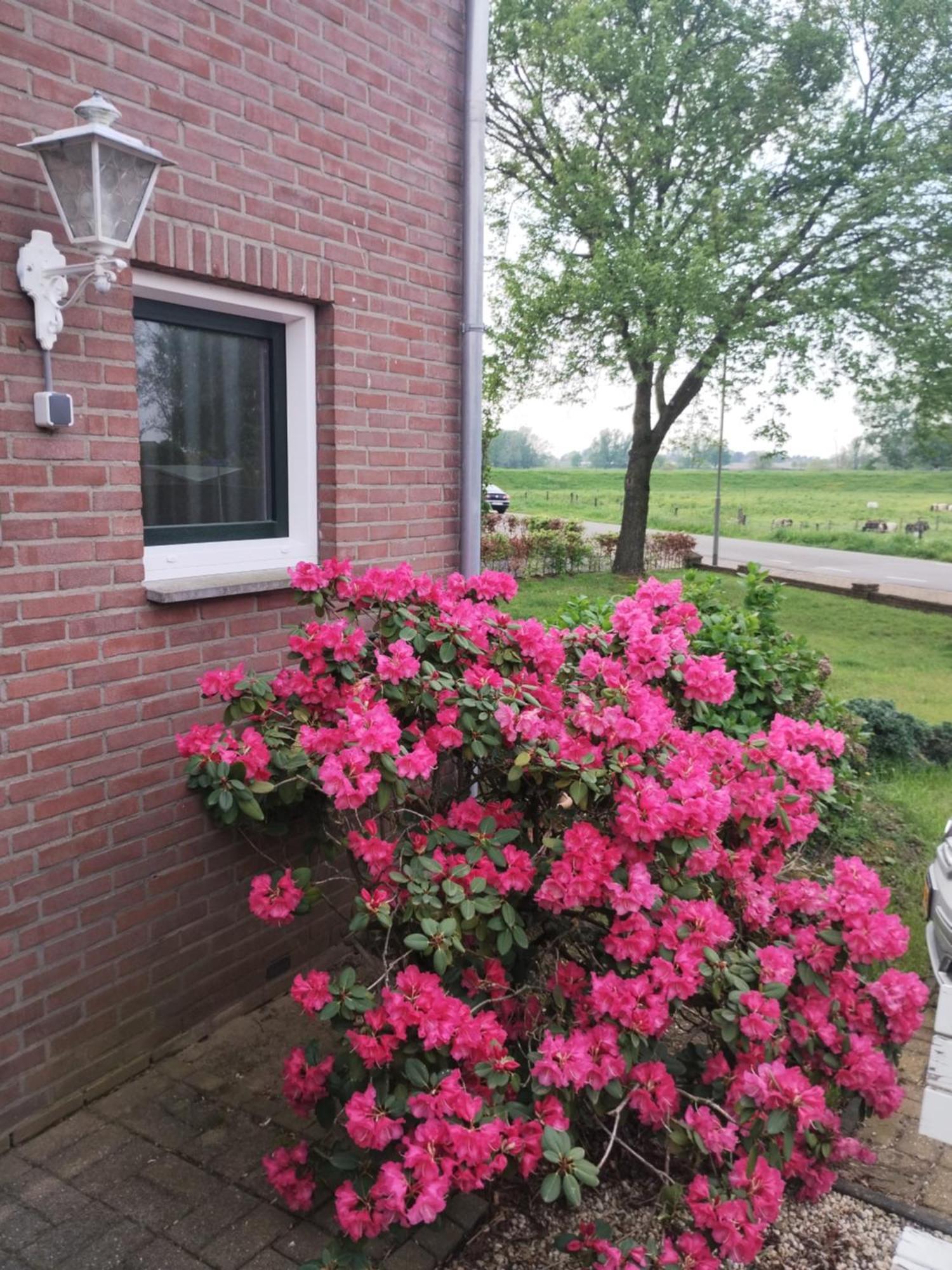 Laaker Villa Nearby Outlet Roermond Ohe en Laak Luaran gambar